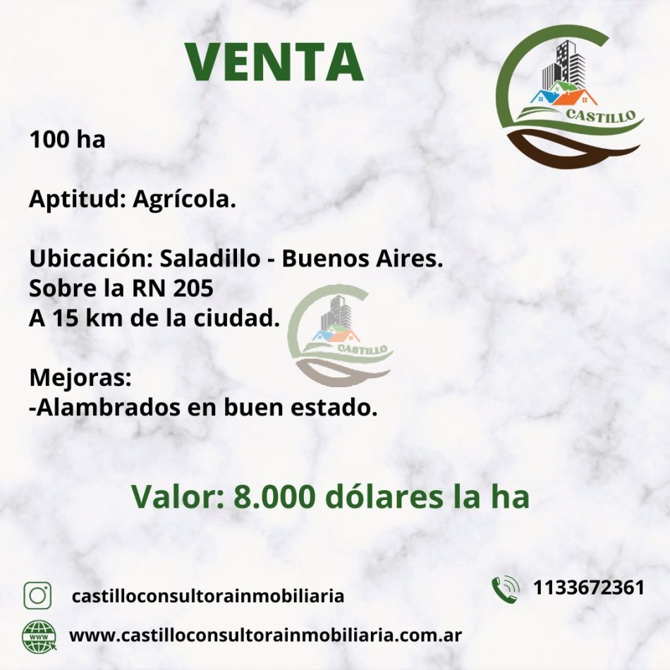 100 ha agricolas - saladillo