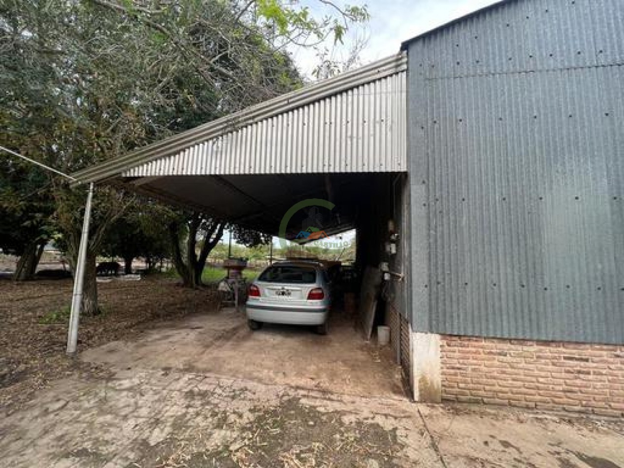 37,5 Ha Agricolas - Zarate