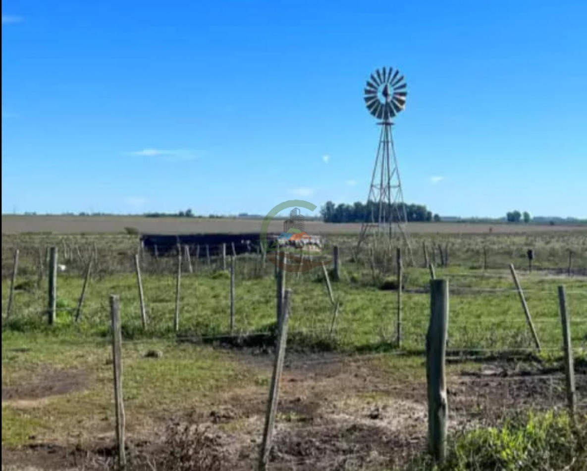 550 Ha Mixto - Concordia - Entre Rios