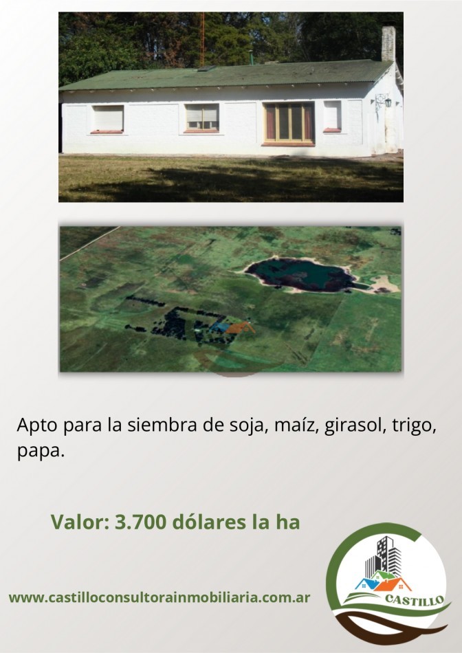 198 Mixto - Olavarria