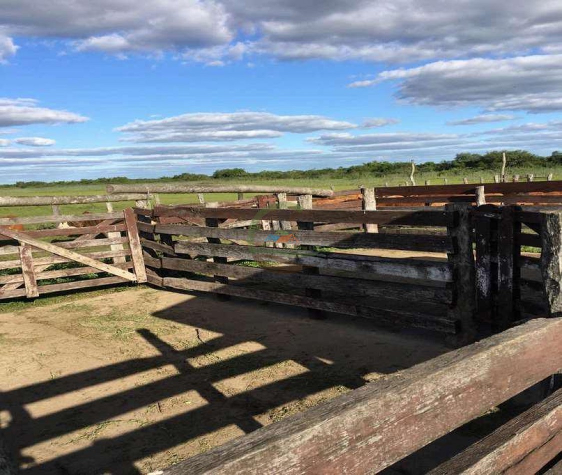 4168 Ha Mixto - San Luis del Palmar - Corrientes