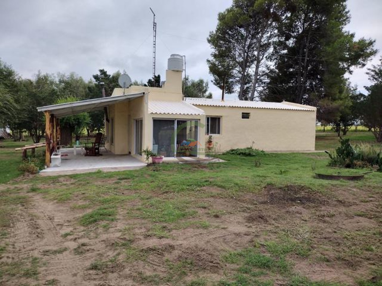 850 Ha Mixto - Puan