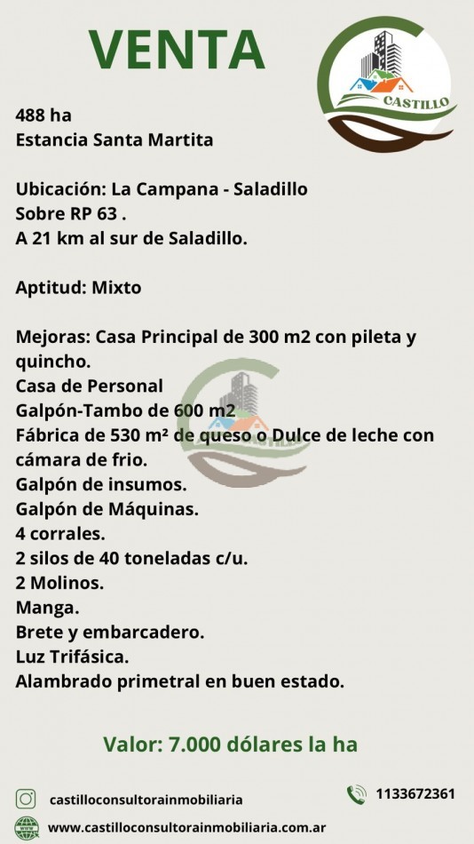 488 ha Mixto - Saladillo