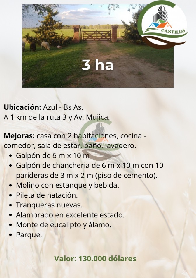 Casa quinta 3 ha - azul
