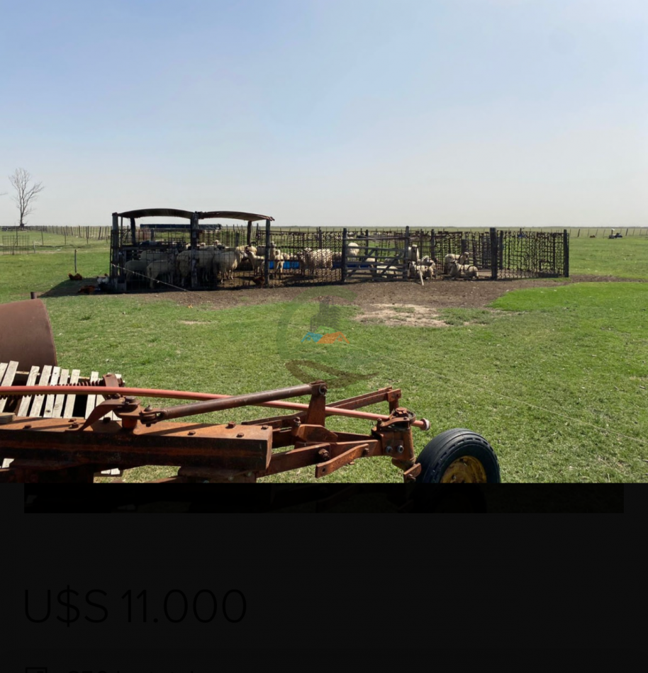 850 ha mixtas - cordoba