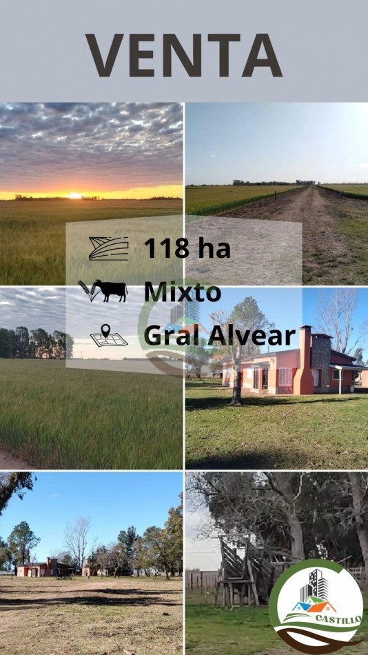 119 ha MIxtas - Gral Alvear