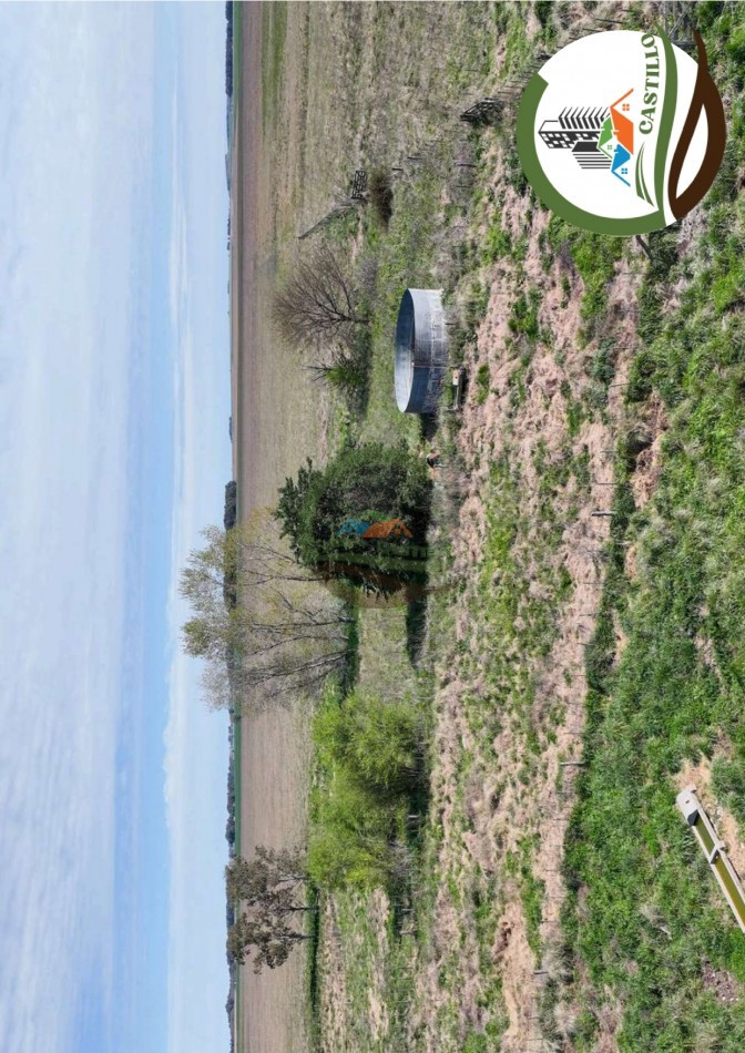 204 ha mixtas - olavarria