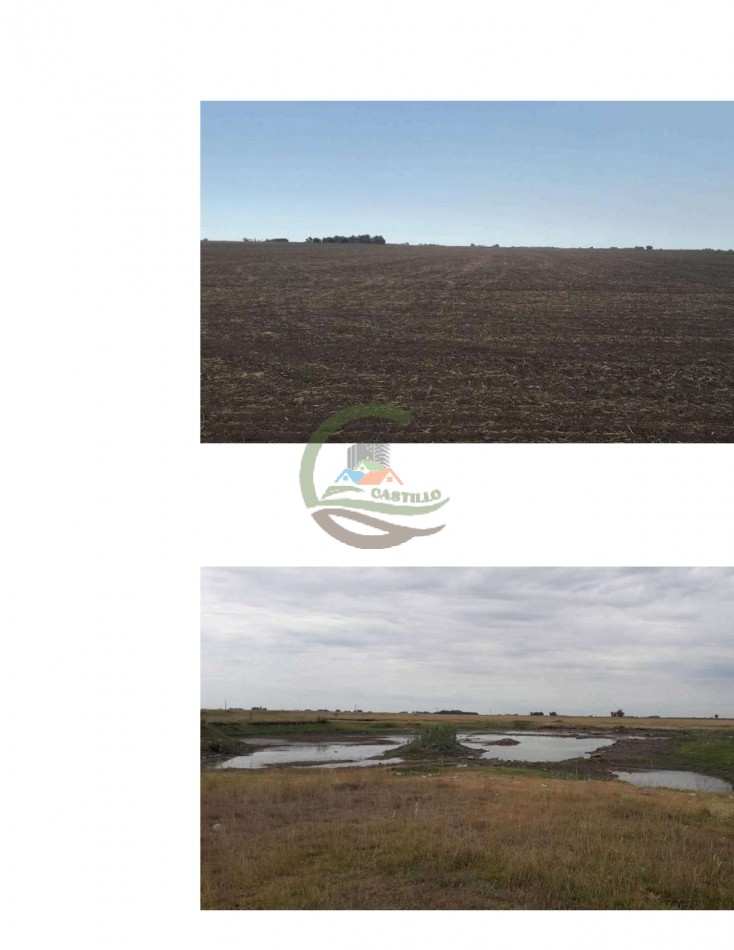 304 ha Mixtas - Olavarria 