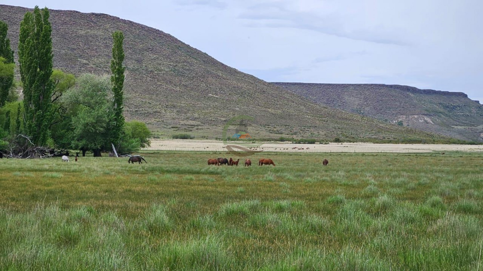 4047 Ha Ganadero - Coto de Caza - La Rinconada - Neuquen