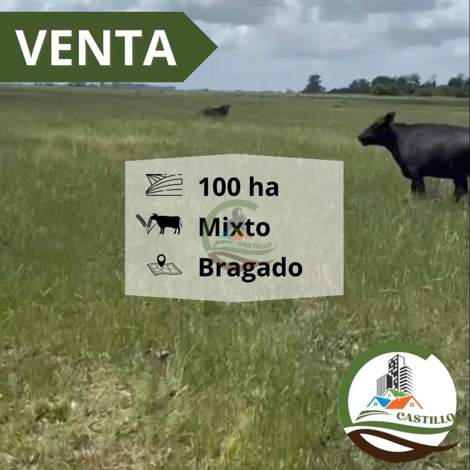110 ha mixtas - bragado