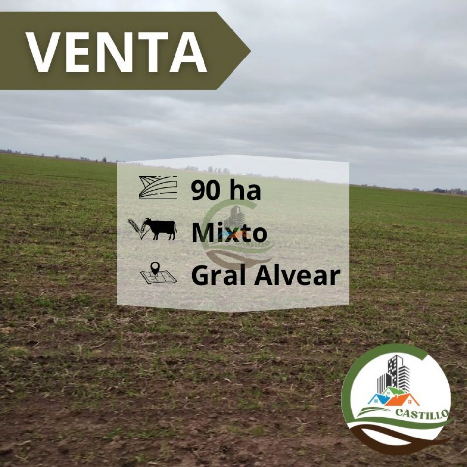 93 ha mixtas - General alvear