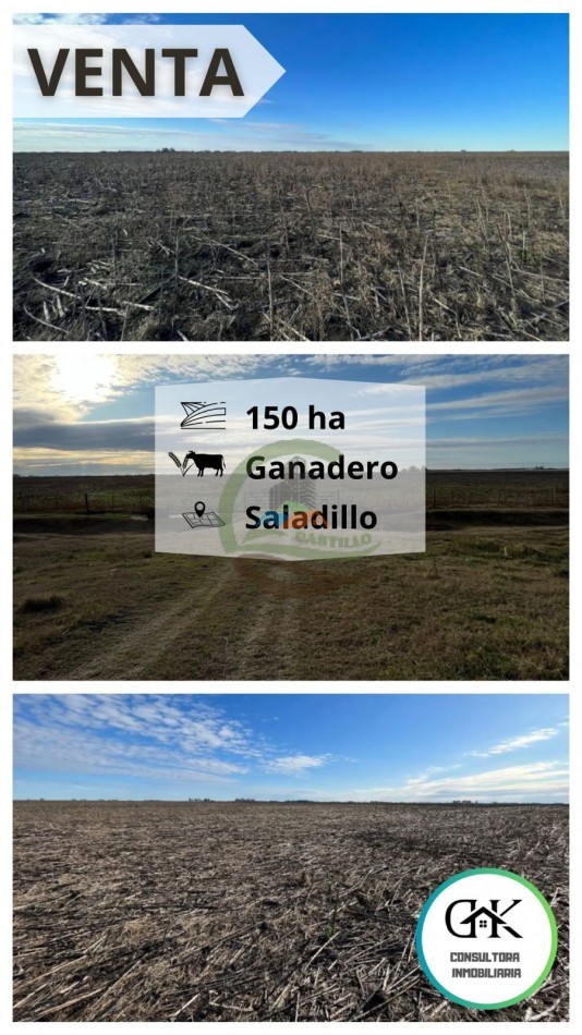 150 ha Mixtas - Polvaredas