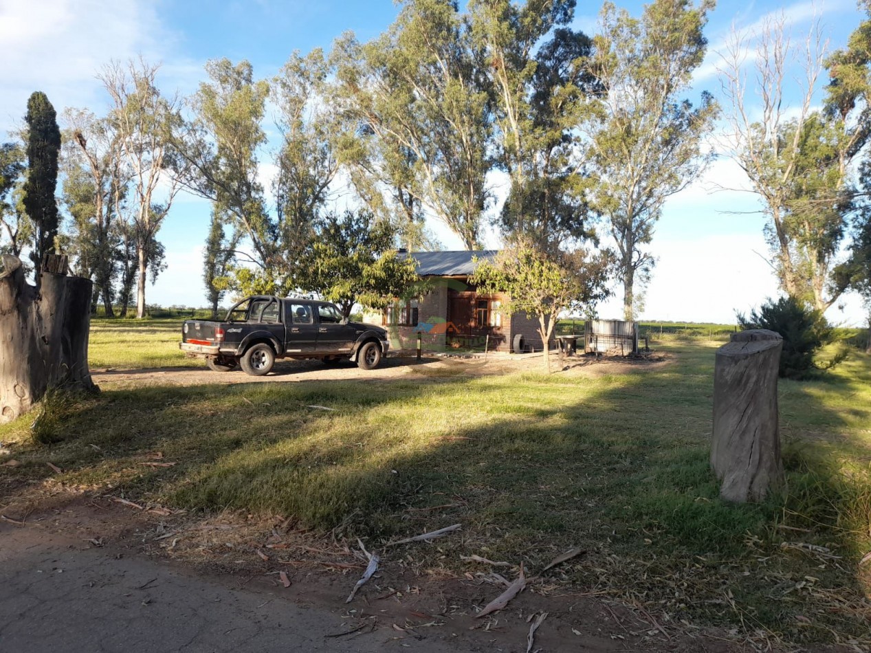 2200 Ha Agricolas - Laboulaye - Cordoba
