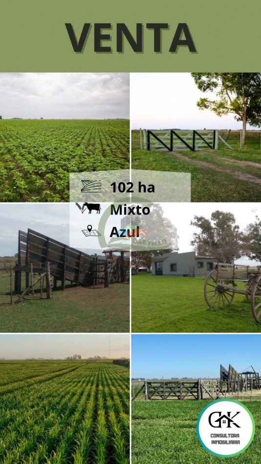 102 ha MIxtas - Azul