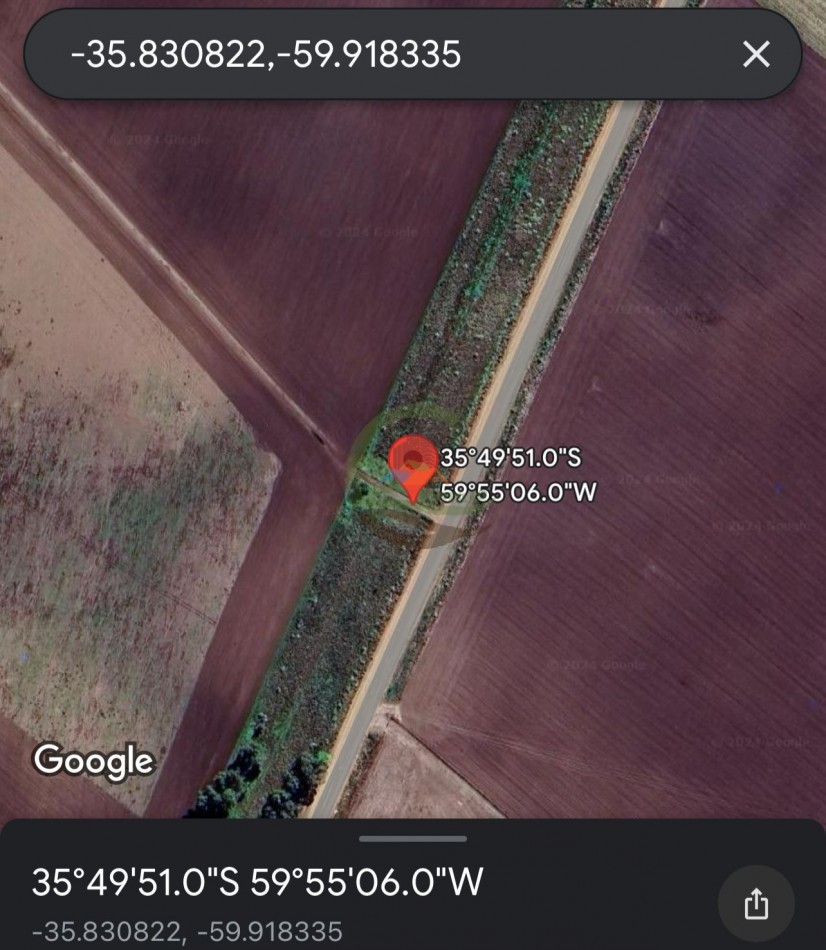 265 HA Agricolas - Saladillo