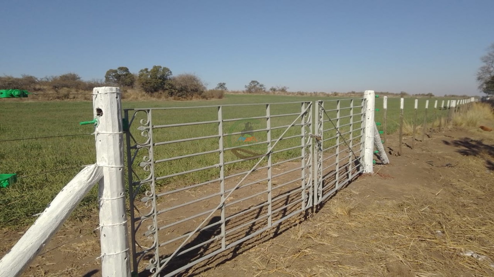80 Ha Mixtas - Elena - Rio Cuarto
