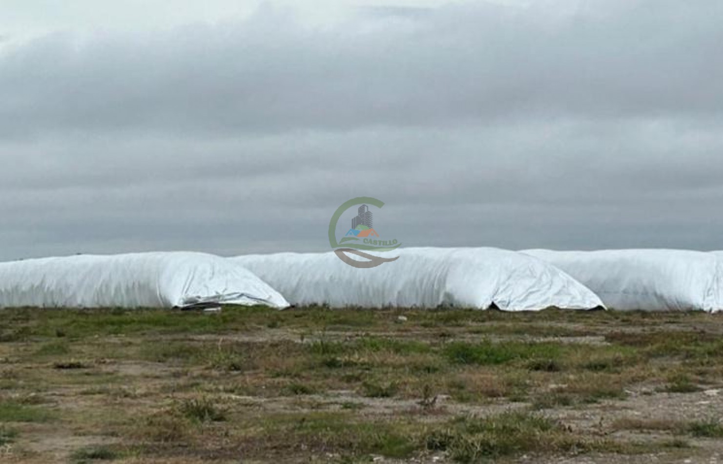 1100 Ha Agricolas - Soriano - Uruguay