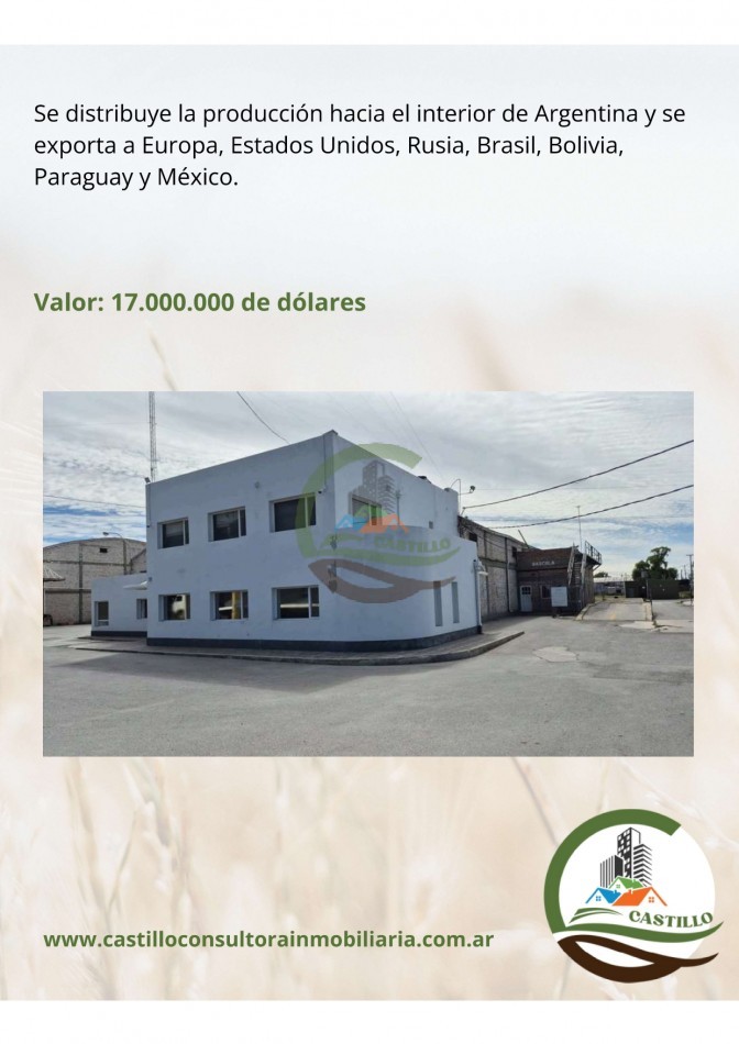 Empacadora de frutas