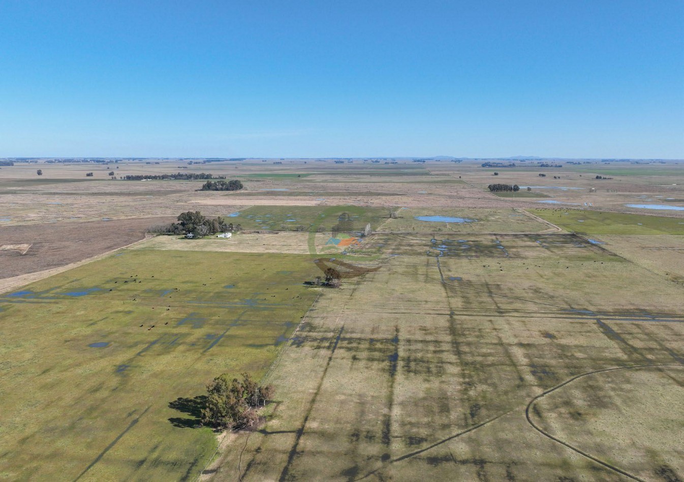 432 Ha Ganadero -  Ayacucho