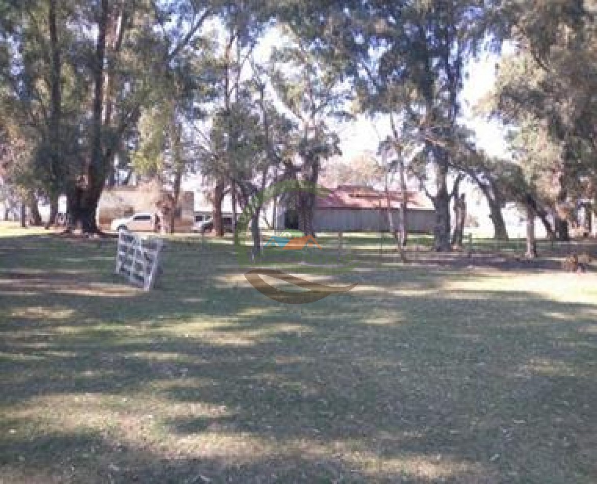 1180 ha  mixtas- Saladillo