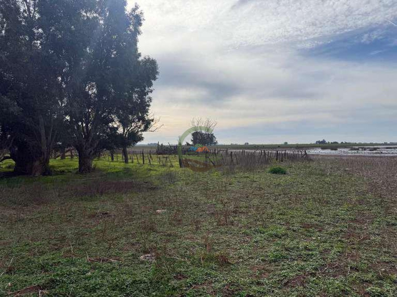 639 Ha Mixto - Urdampilleta - Bolivar