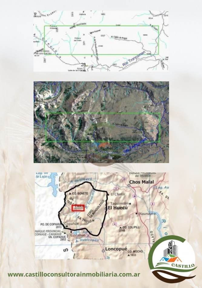 10000 ha mixto - Neuquen