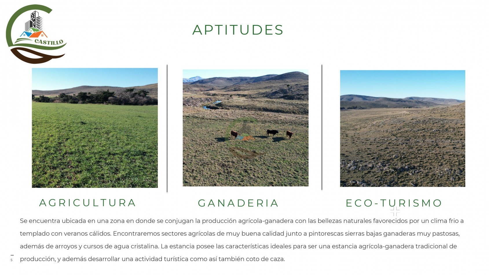 6570 ha Mixtas - Coronel Suarez