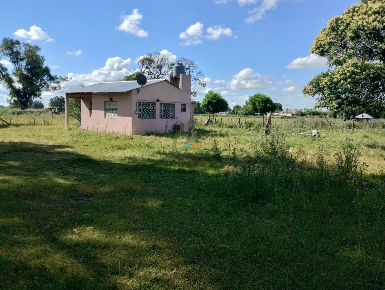 42 ha mixtas - saladillo