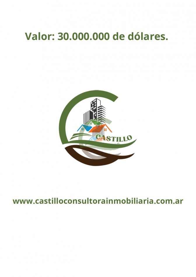 41000 ha mixtas - corrientes