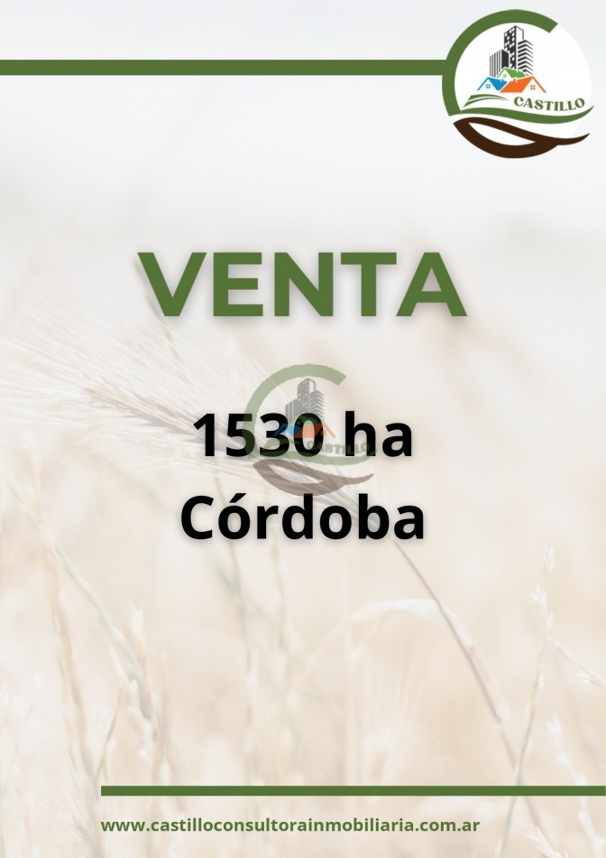 1530 ha agricolas - cordoba 