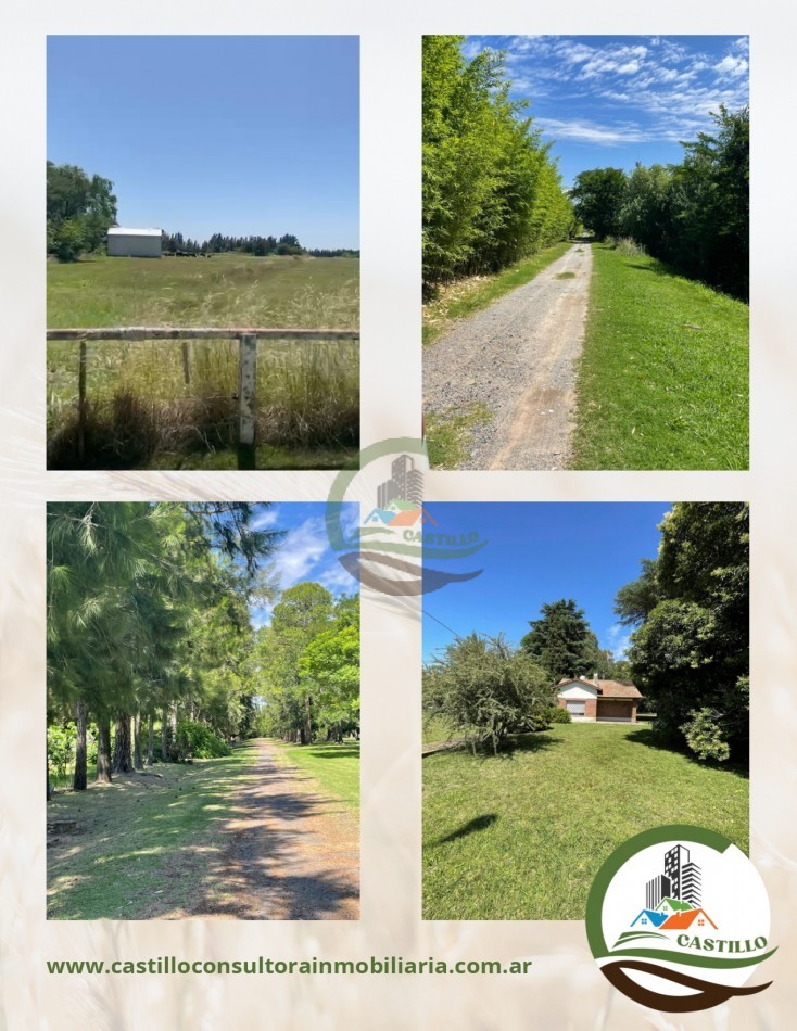 92 ha agricolas - san vicente