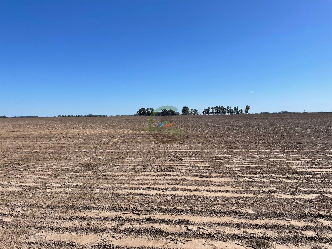 102 ha Agricolas - 25 de Mayo 