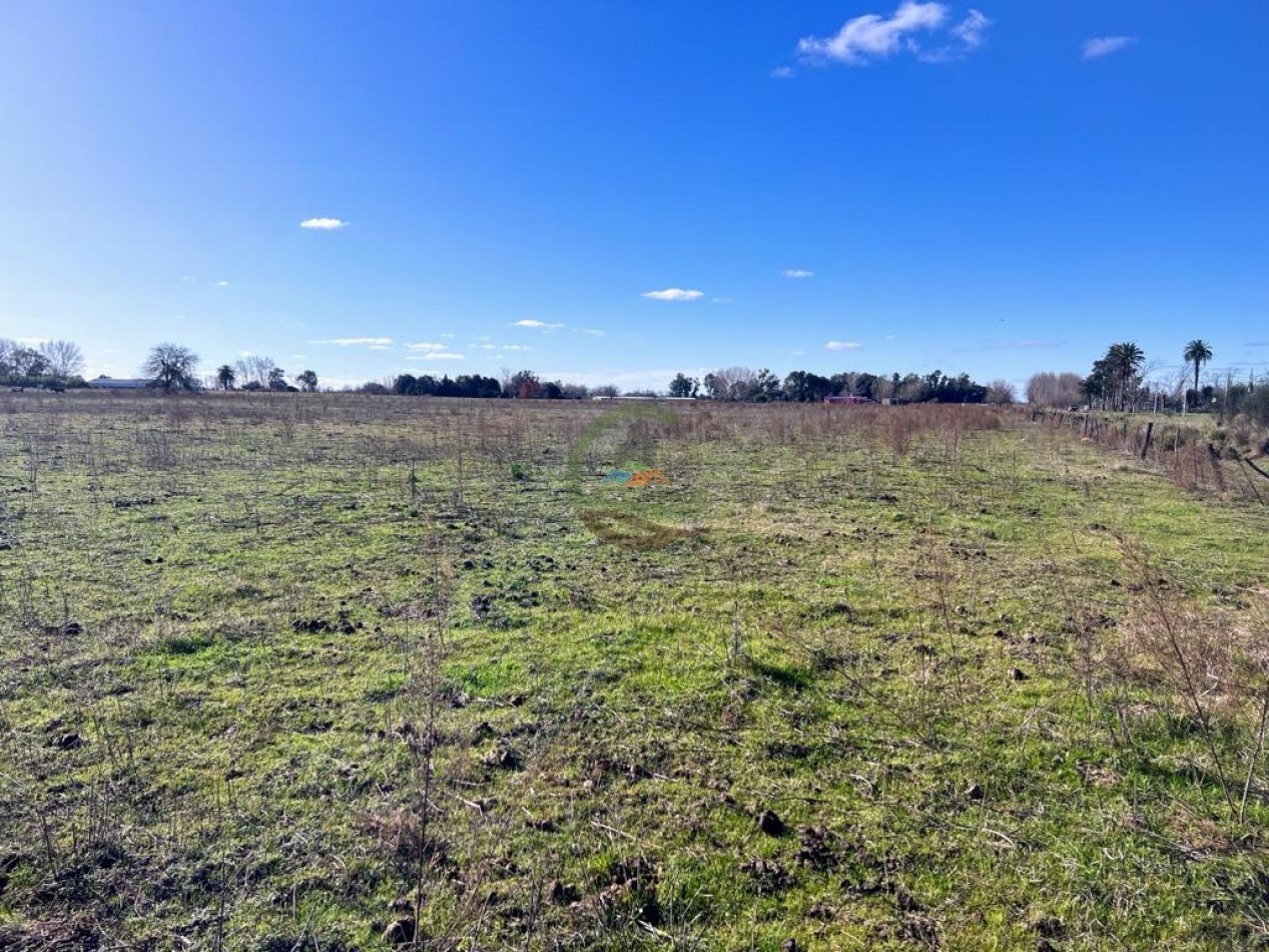 10,5 ha - Saladillo
