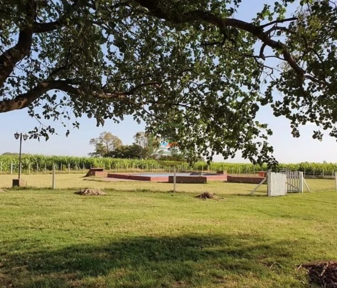 154 ha Mixtas - Gral Alvear