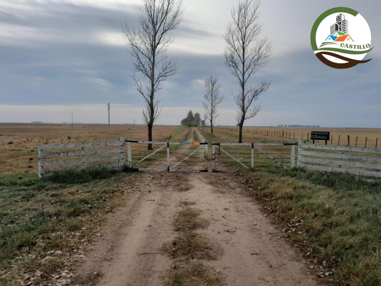 1025 ha mixta - saladillo