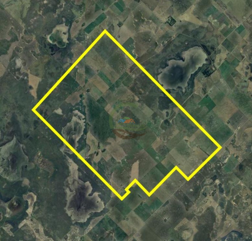 3290 ha Mixtas - Carlos Tejedor