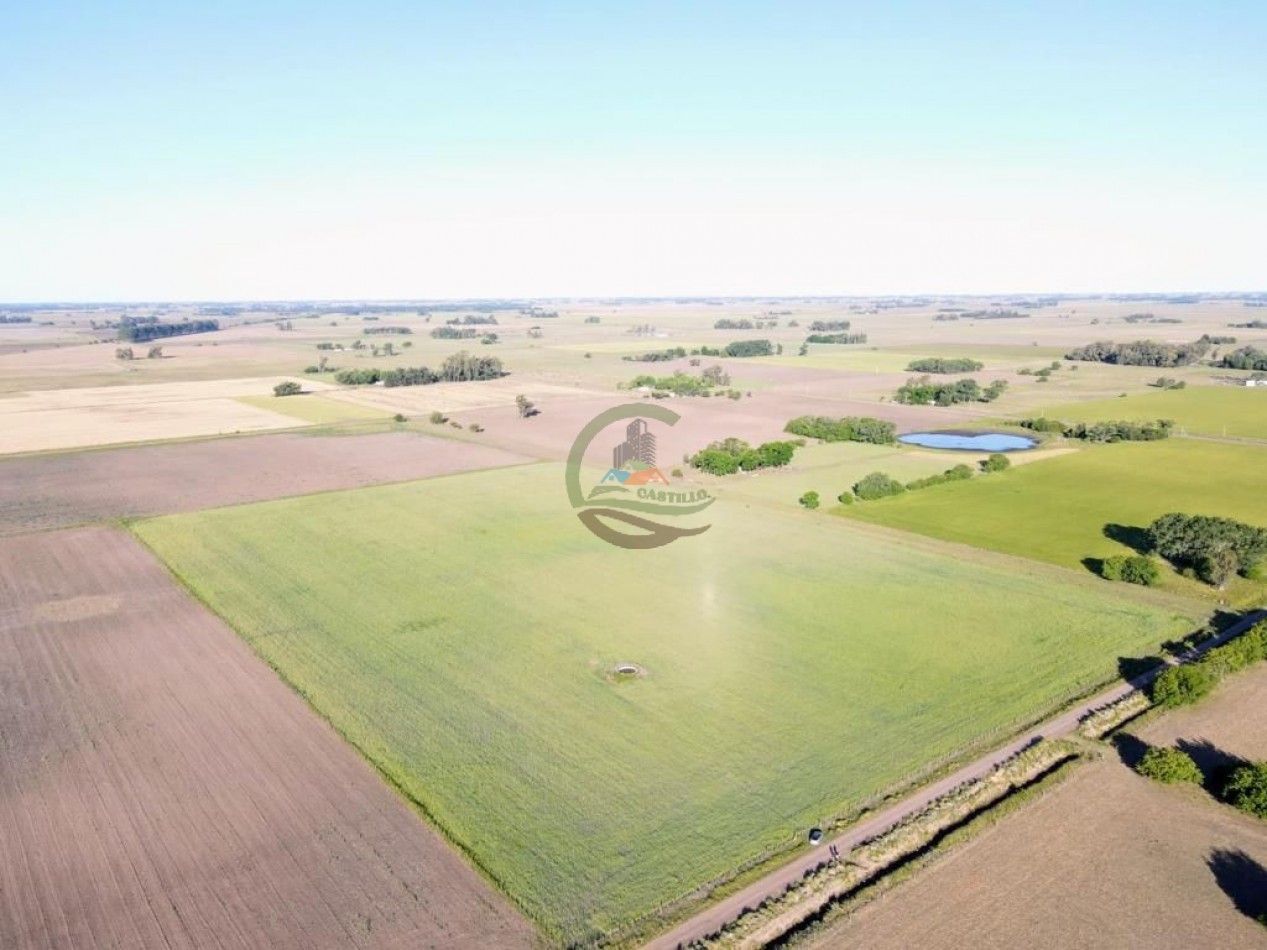 11 ha Agricolas - Saladillo
