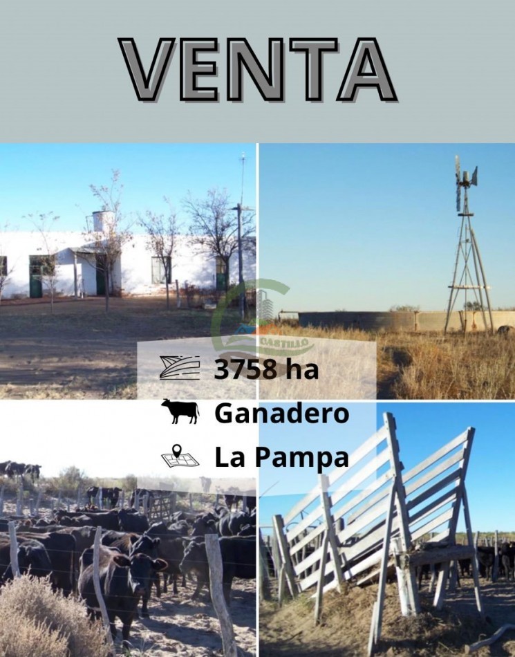 3758 ha Ganadera - La Pampa