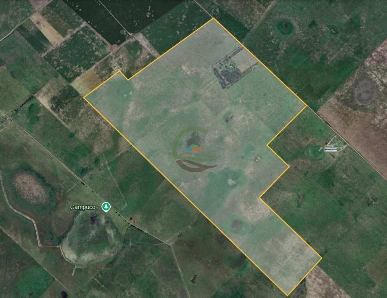 490 Ha Ganadero - Carmen de Areco