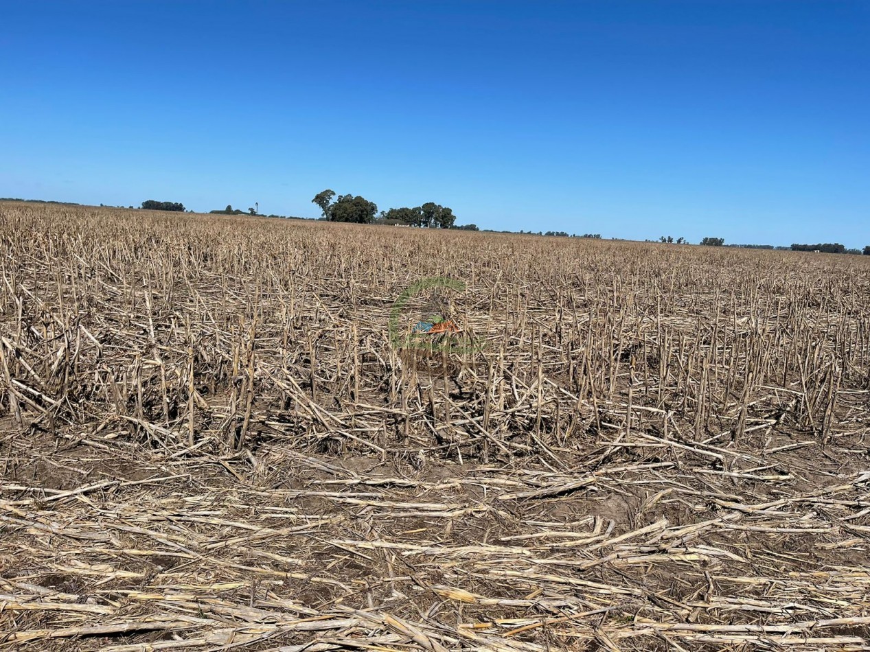 102 ha Agricolas - 25 de Mayo 