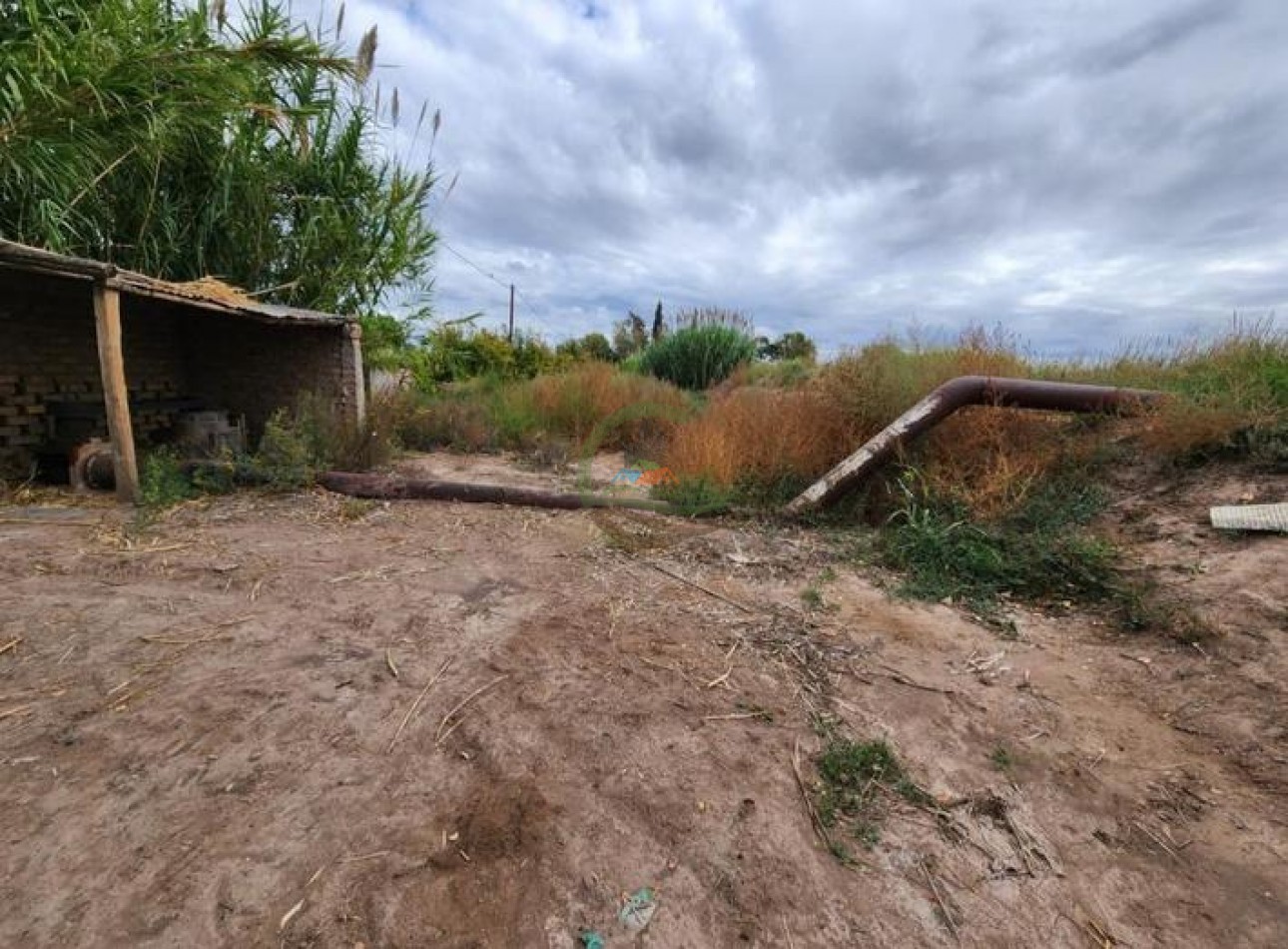 80 Ha Agricolas - San Martin - Mendoza