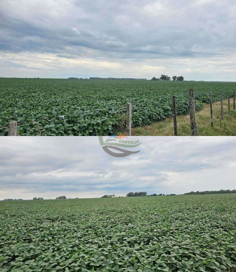 192 Ha Agricolas - General Pinto