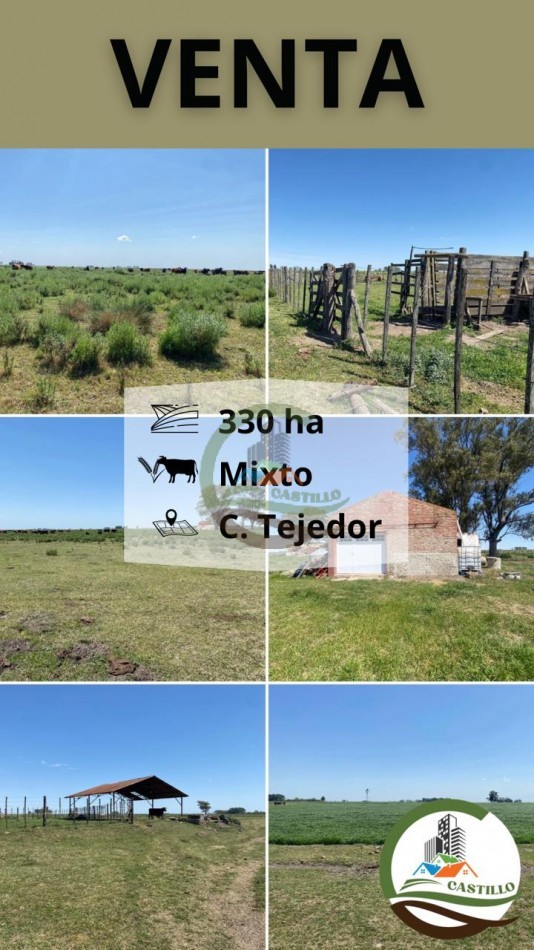 331 ha mixto - carlos tejedor
