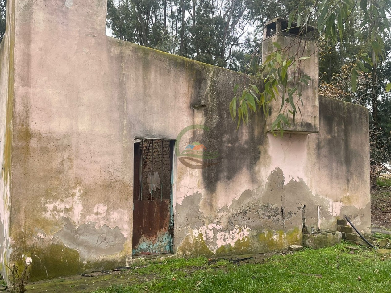 47 ha Ganadera - Olavarria