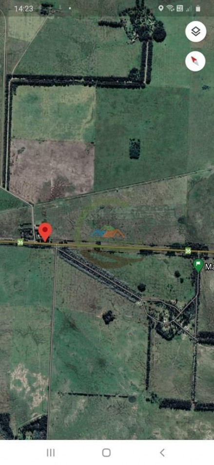 64 ha mixto - punta indio