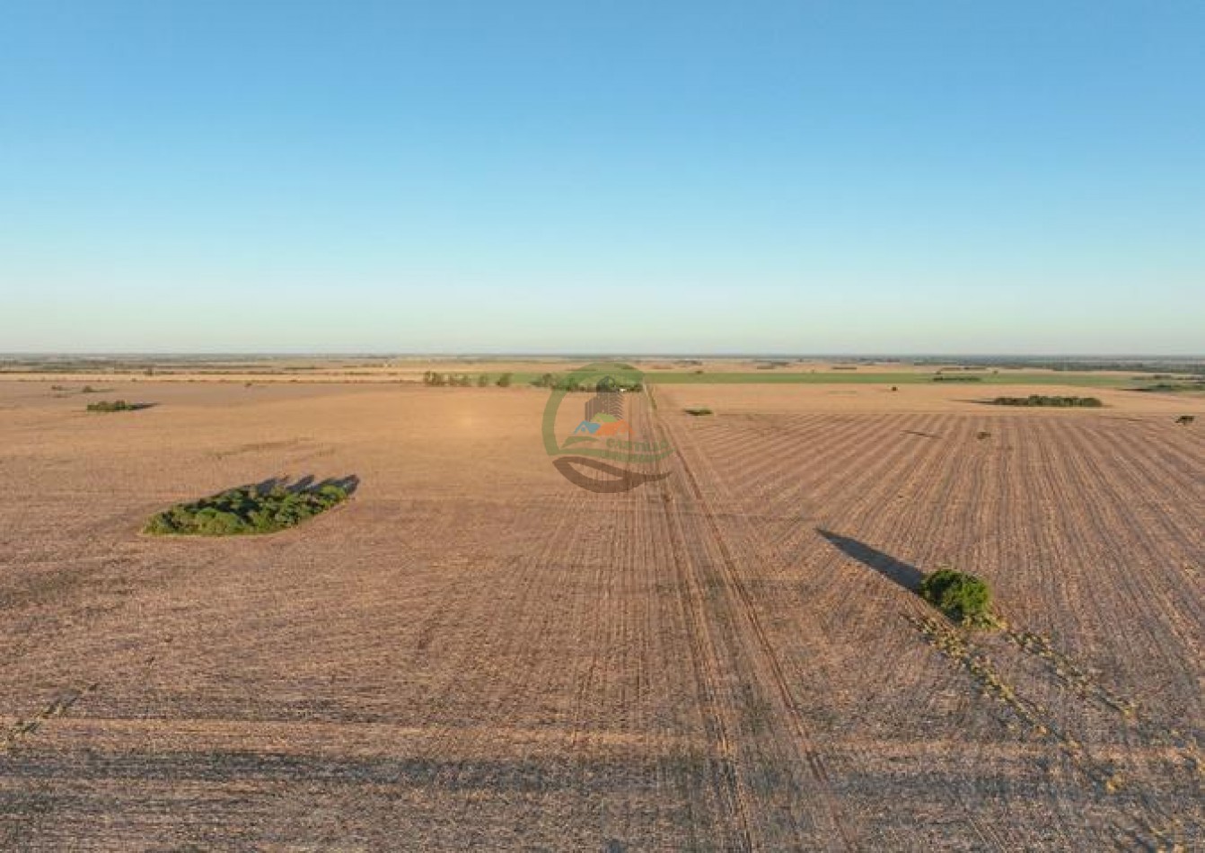 950 Ha Agricolas - Monte Cristo - Cordoba 
