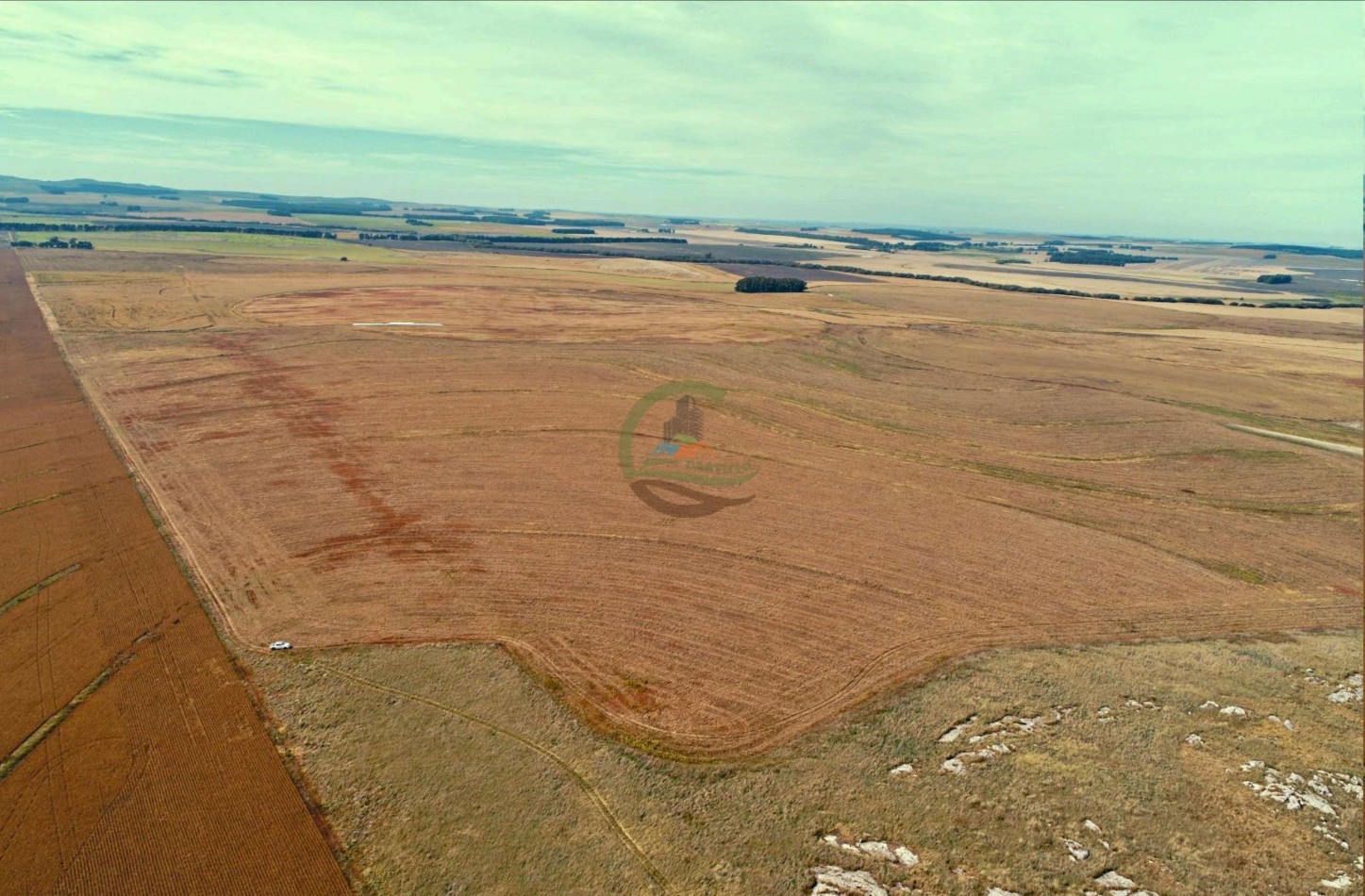 1007 Ha Agricolas - Tandil