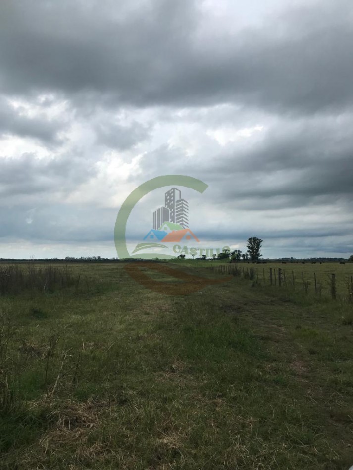 177 ha Mixtas - Pergamino 