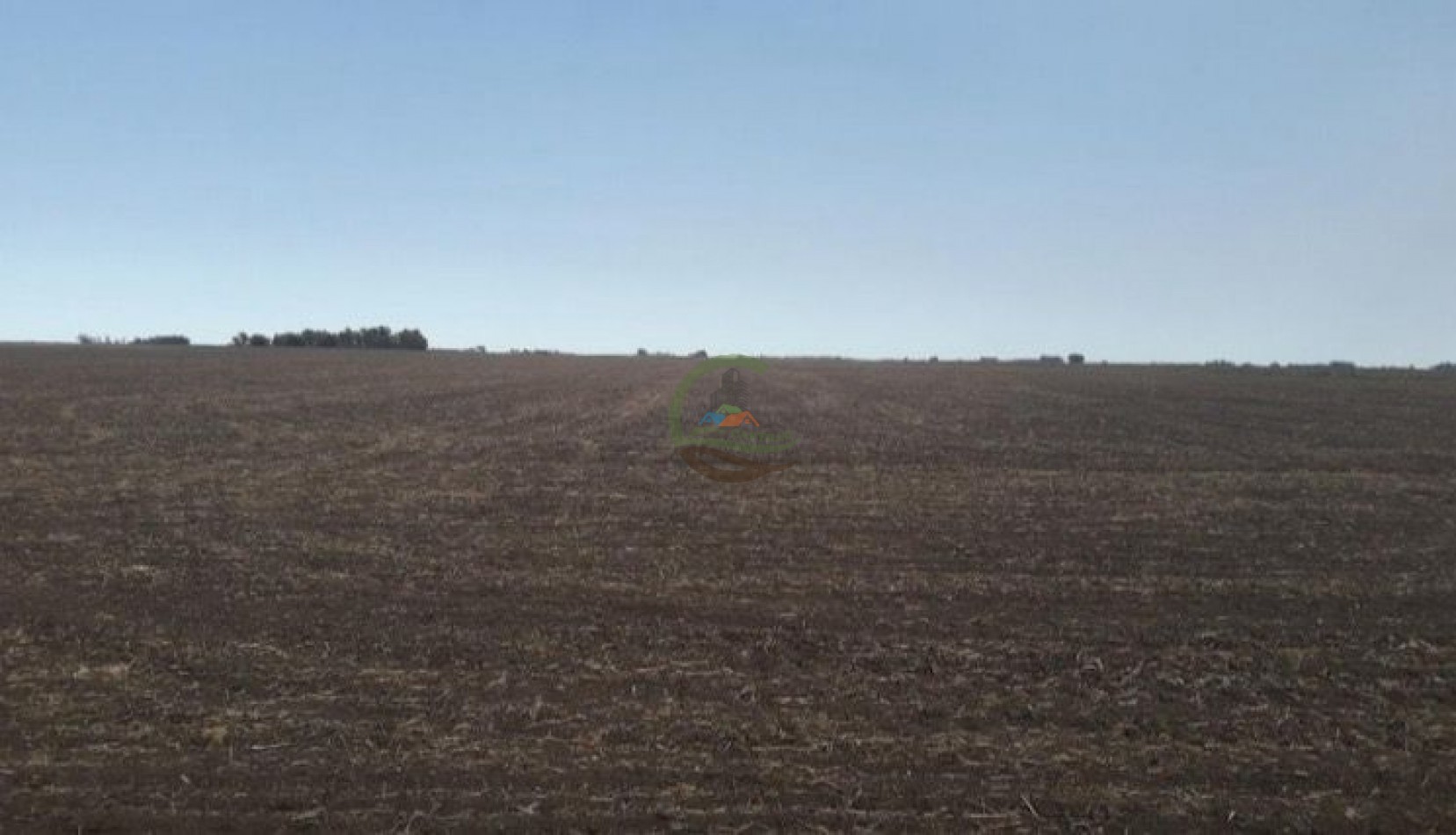 304 ha Mixtas - Olavarria 