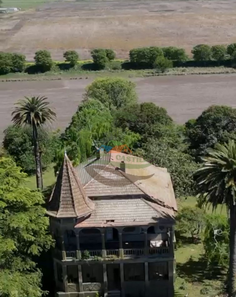 220 ha Agricolas - Balcarce  